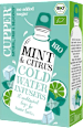 Infuso a freddo con menta e limone CUPPER
