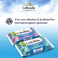 Feuchtes Toilettenpapier Sauber Pflegend Cottonelle