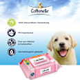 Feuchtes Toilettenpapier Sensitiv Pflegend, Maxi Pack Cottonelle