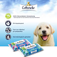 Feuchtes Toilettenpapier Sauber Pflegend Cottonelle