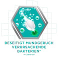 Gebissreiniger Tabs Intensiv Rundumschutz COREGA