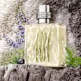 Eau de Toilette 1881 Pour Homme Cerruti