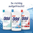 Mundwasser extra frisch, fluoridfrei Odol