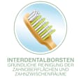 Zahnbürste Nature Bambus Interdent mittel            Dr. Best
