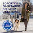 Blasenpflaster Ferse Scholl