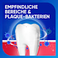 Zahnpasta Sensitivität & Zahnfleisch Sensodyne
