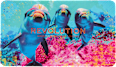 Forever Flawless paletă de farduri Hydra Dolphin REVOLUTION