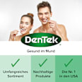 Zahnseidesticks Complete Clean DenTek