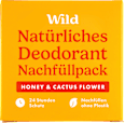 Deostick Honig Kaktusblüte Nachfüllpack Wild
