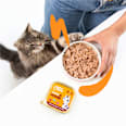 Nassfutter Katze mit Huhn Lachs, Lamm & Truthahn, Paté Multipack (8x85 g) Edgard & Cooper