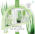 Set cadou ALOE cremă și toner Lirene