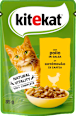 Cibo umido per gatti con pollo in salsa kitekat