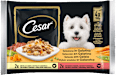 Selezione in gelatina cibo umido per cani adulti Cesar