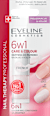 ODŻYWKA NAIL THERAPY 6W1 CARE&COLOUR FRENCH EVELINE COSMETICS