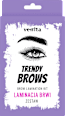 Laminacja brwi zestaw Trendy Brows  Venita