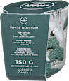 Dišeča sveča v kozarcu White Blossom AROMA HOME