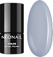Nagellackset Winter Maniland Collection NÉONAIL