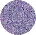 Pigment prasowany- Turbo Glow kolor ZORZA Glam SHOP