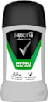 Део стик Invisible Fresh Power Rexona men