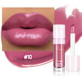 Plumping Gloss luciu de buze 10 Pudaier