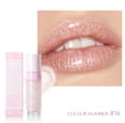 Plumping Gloss luciu de buze 16 Pudaier