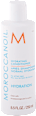 Hydrating regenerator za kosu Moroccanoil