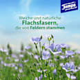 Feuchtes Toilettenpapier sanft & pflegend Kamille (2x42 St) Tempo
