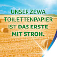 Toilettenpapier Premium 5-lagig (8x110 Blatt) Zewa