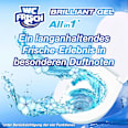 WC-Stein Brilliant Gel  WC-Frisch