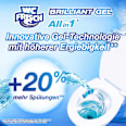 WC-Stein Brilliant Gel  WC-Frisch