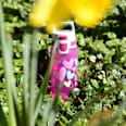 Trinkflasche Kinder Viva One Hearts SIGG