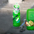 Trinkflasche Kinder Viva One Jurassica SIGG