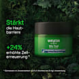 Nachtcreme Skin Food Face Care WELEDA