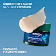 Gesichtscreme festigende Nachtpflege WELEDA