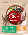 Karma sucha dla psów dorosłych, kurczak i ryż ONE MINI Active PURINA ONE