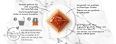 Nassfutter Katze Mousse mit Huhn, Revelations (2 x 57g) Purina Gourmet