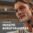 Borotvazselé, Fusion sensitive  Gillette