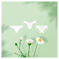 Camomile dnevni ulošci normal Naturella