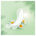 Camomile dnevni ulošci normal Naturella