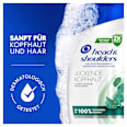 Anti-Schuppen Shampoo Juckende Kopfhaut head&shoulders
