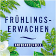 Lufterfrischer Car Frühlingserwachen Febreze