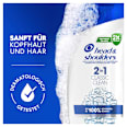 Shampoo & Conditioner 2in1 Anti-Schuppen Classic Clean head&shoulders