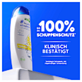 Shampoo Anti-Schuppen Citrus Fresh head&shoulders