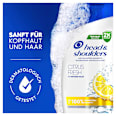 Anti-Schuppen Shampoo Citrus Fresh head&shoulders