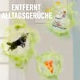 Lufterfrischer 3Volution Duftstecker Starter-Set Aprilfrisch Febreze