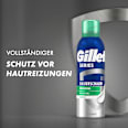 Rasierschaum Beruhigend Gillette