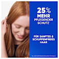 Shampoo 2in1 Classic Anti-Schuppen head&shoulders
