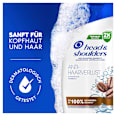 Anti-Haarverlust Shampoo mit Koffein head&shoulders