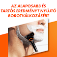 Borotvabetét, Fusion5 Gillette
