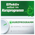 Geschirrspül-Tabs All in One Platinum Plus Zitrone Fairy